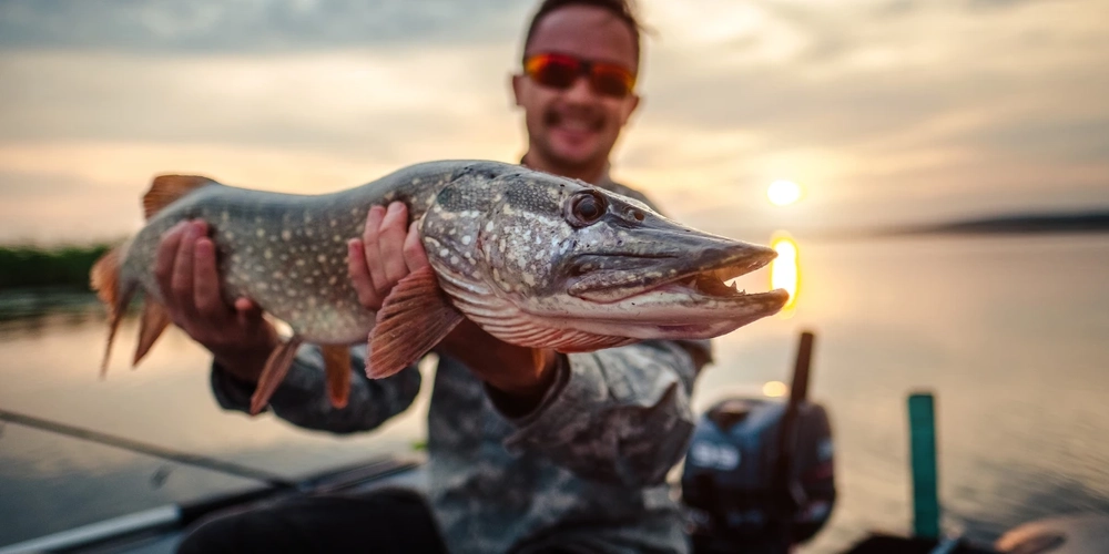 Angler holding up a pike fish he caught in the lake