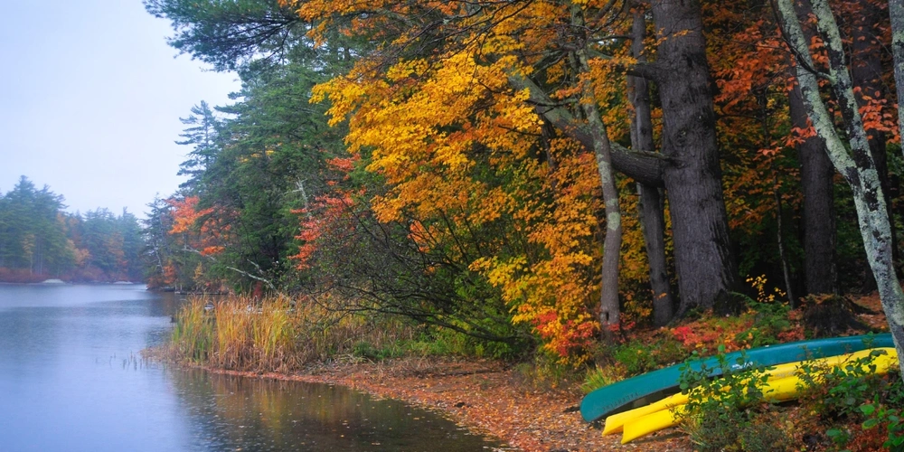 Edge of the lake showing trees in full autumn, kayaks at the side
