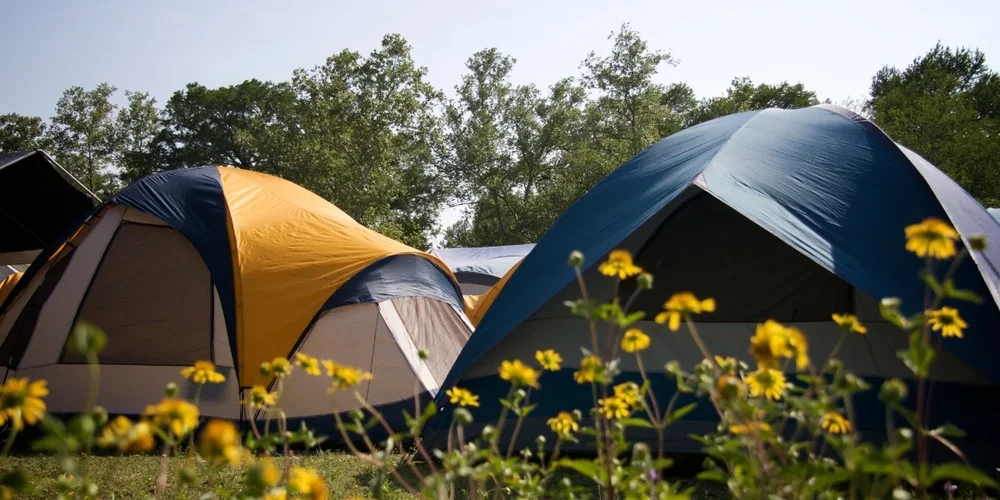 Tent camp site during summer, flowers in foreground