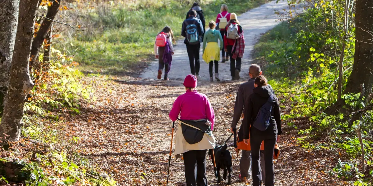 A group of people on a hiking trail in the forest