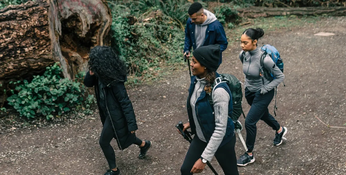 Four people hiking in a forest