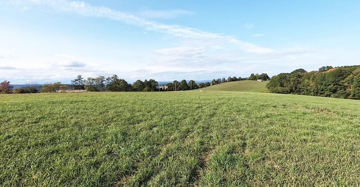 Huge sports field in Ridgeview Campground