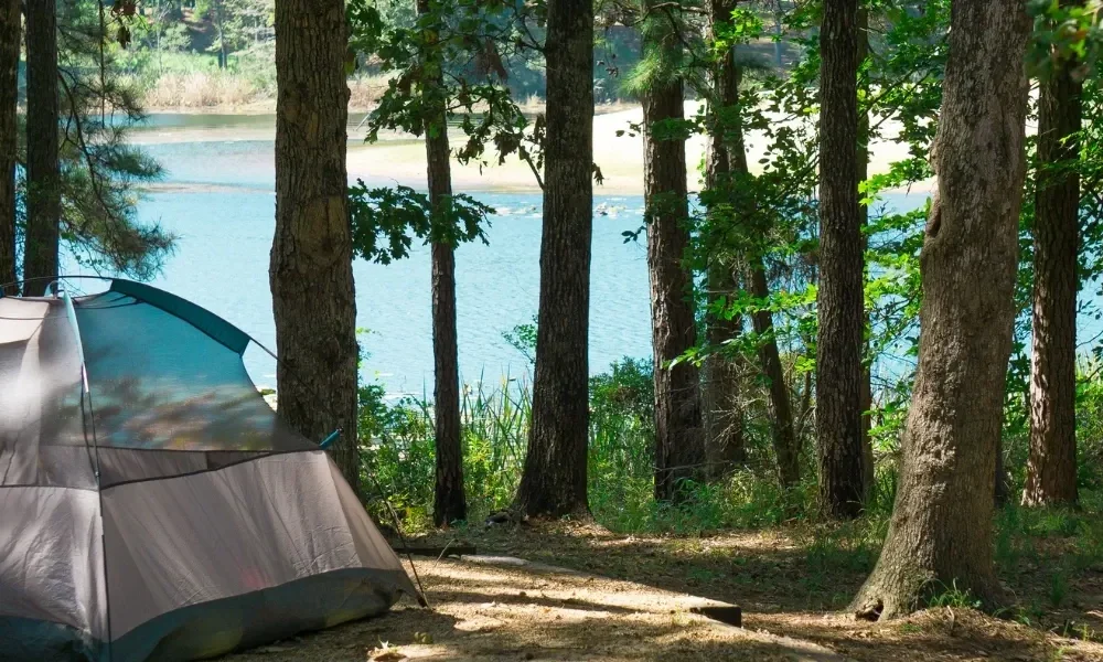 Tent pitched near the lake