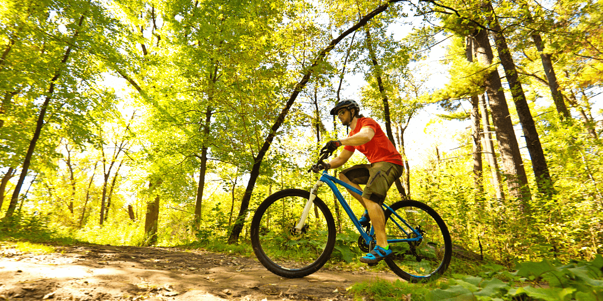 Mountain biker on a trail