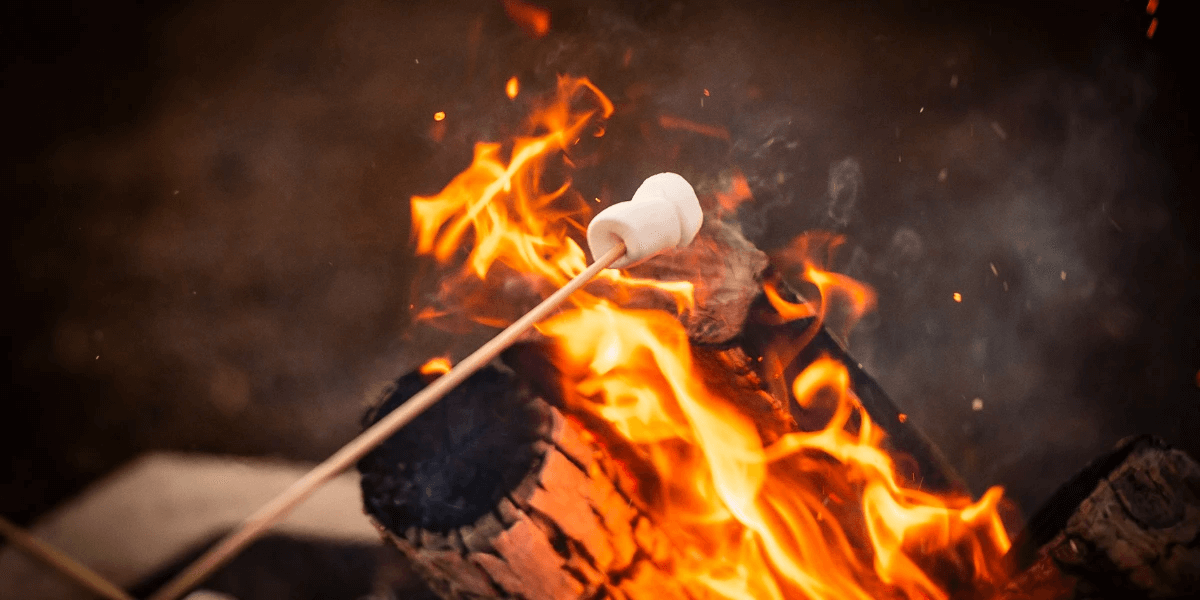 toasting marshmallows over a fire