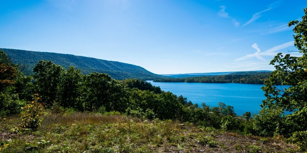 Raystown Lake in the summer