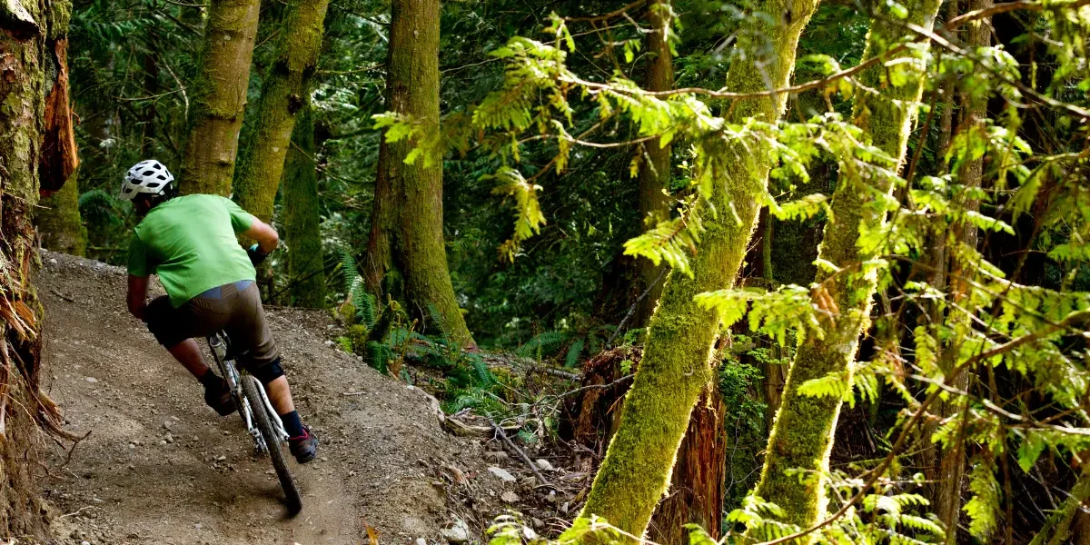 A cyclist going down a trail on his mountain bike