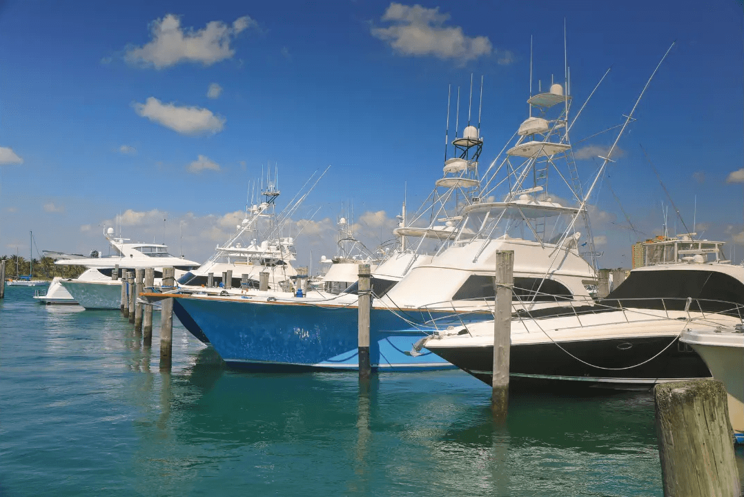 Fishing charters along the lake.